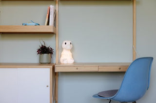 Mr. Maria RENA First Light dinosaurus - oplaadbare kinderlamp en nachtlamp