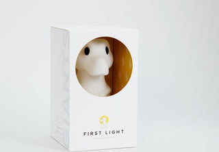 Mr. Maria RENA First Light dinosaurus - oplaadbare kinderlamp en nachtlamp