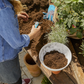 Gardena Clickup! Plantenschaal